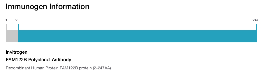 FAM122B Polyclonal Antibody