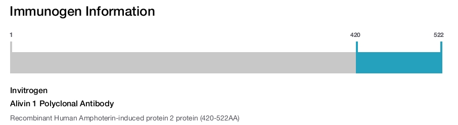 Alivin 1 Polyclonal Antibody