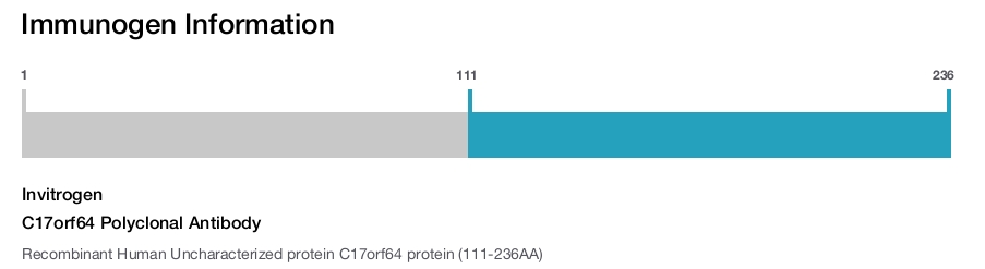 C17orf64 Polyclonal Antibody