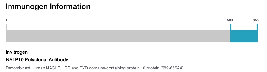 NALP10 Polyclonal Antibody