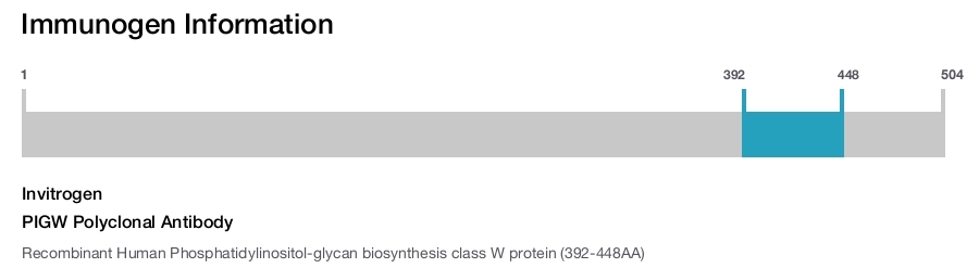 PIGW Polyclonal Antibody