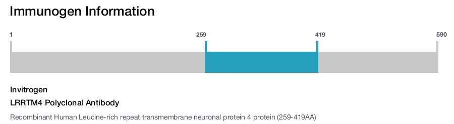 LRRTM4 Polyclonal Antibody