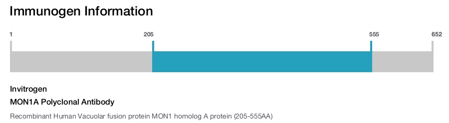 MON1A Polyclonal Antibody