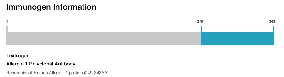 Allergin 1 Polyclonal Antibody