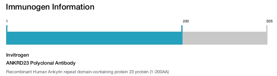 ANKRD23 Polyclonal Antibody