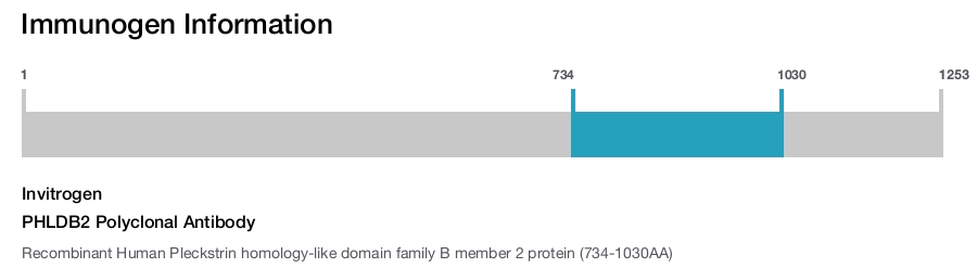 PHLDB2 Polyclonal Antibody