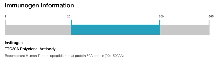 TTC30A Polyclonal Antibody