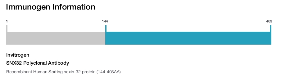 SNX32 Polyclonal Antibody