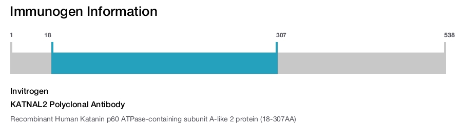 KATNAL2 Polyclonal Antibody