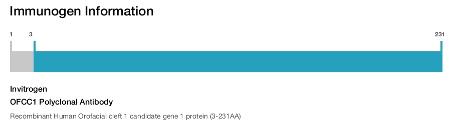 OFCC1 Polyclonal Antibody