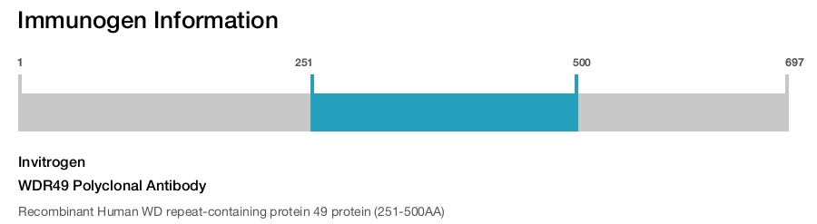 WDR49 Polyclonal Antibody