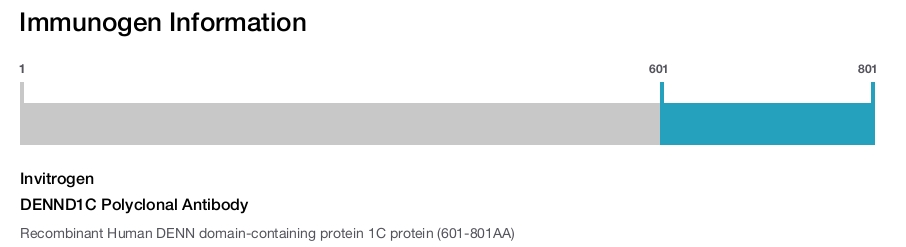 DENND1C Polyclonal Antibody