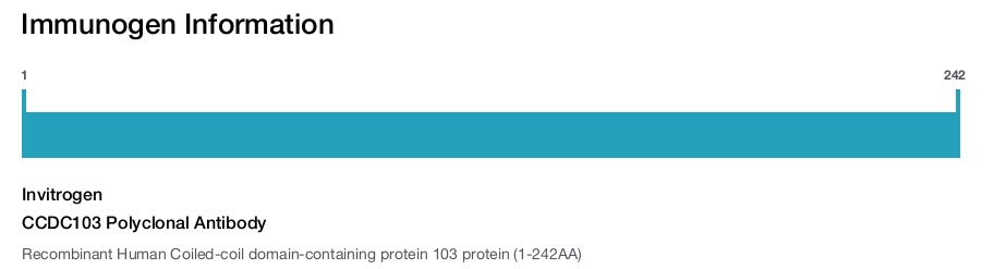 CCDC103 Polyclonal Antibody