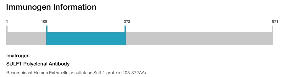 SULF1 Polyclonal Antibody