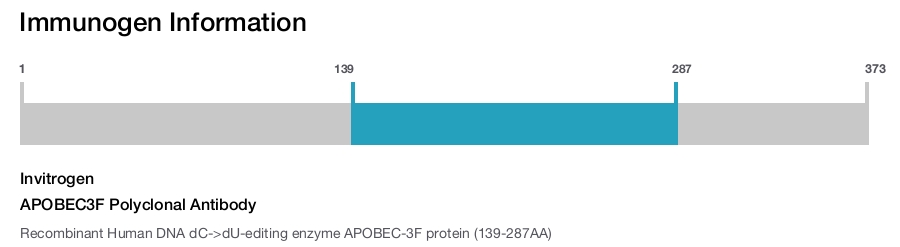 APOBEC3F Polyclonal Antibody