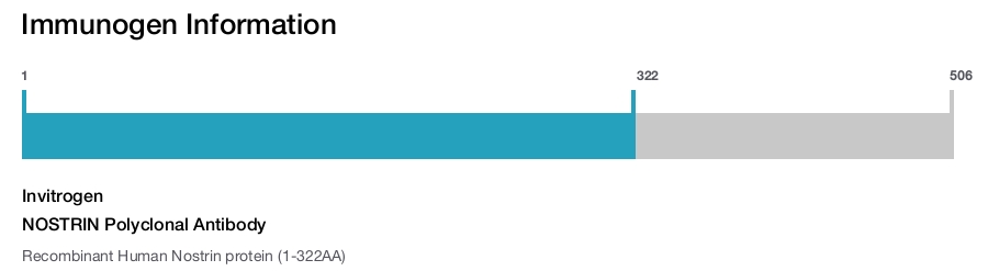 NOSTRIN Polyclonal Antibody