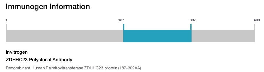 ZDHHC23 Polyclonal Antibody
