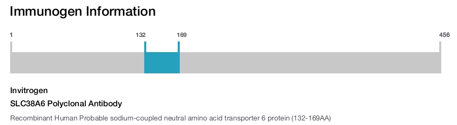 SLC38A6 Polyclonal Antibody