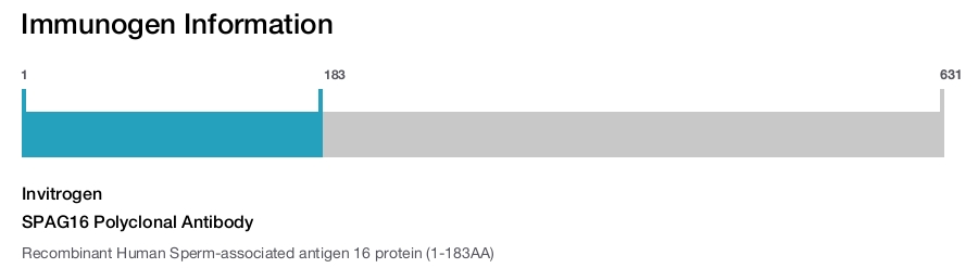 SPAG16 Polyclonal Antibody