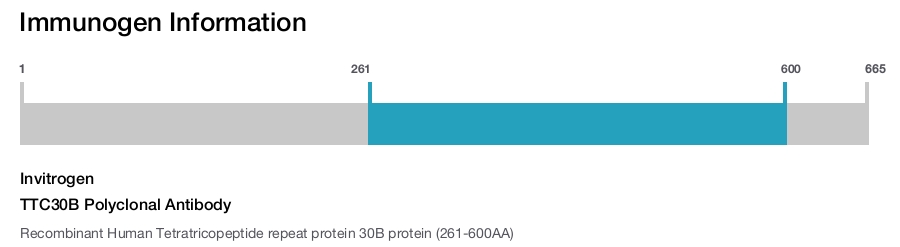TTC30B Polyclonal Antibody