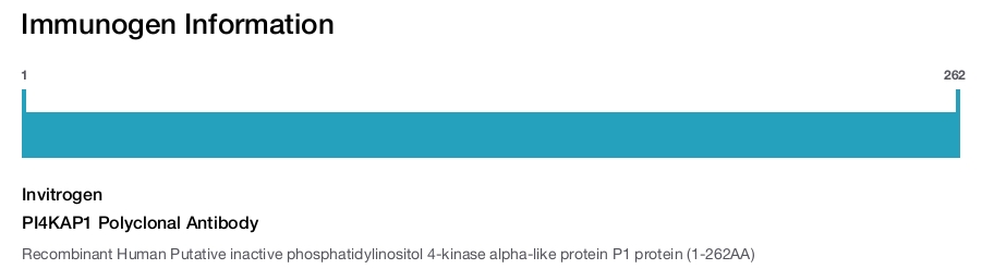 PI4KAP1 Polyclonal Antibody