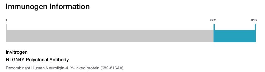 NLGN4Y Polyclonal Antibody
