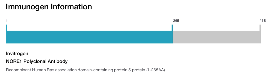 NORE1 Polyclonal Antibody