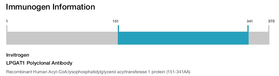 LPGAT1 Polyclonal Antibody