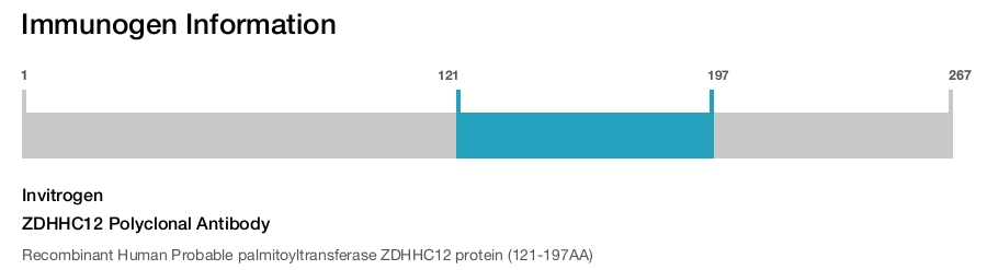 ZDHHC12 Polyclonal Antibody