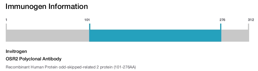 OSR2 Polyclonal Antibody