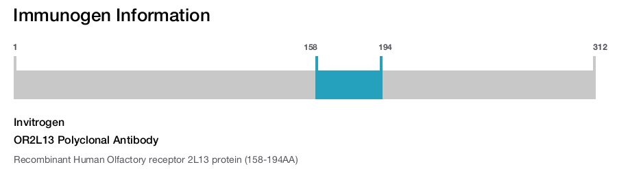 OR2L13 Polyclonal Antibody