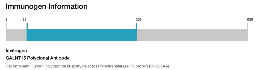 GALNT15 Polyclonal Antibody