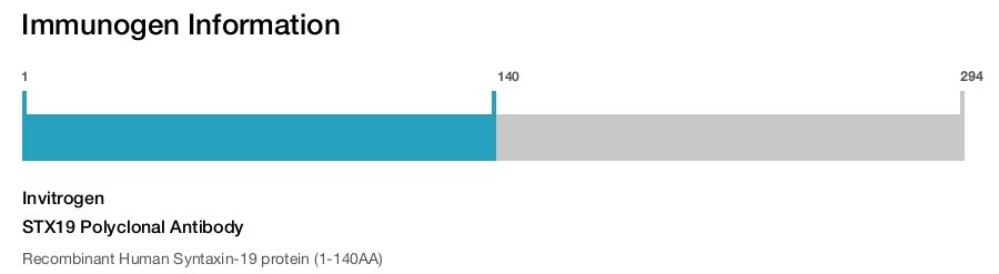 STX19 Polyclonal Antibody