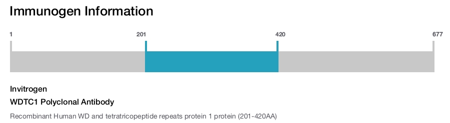 WDTC1 Polyclonal Antibody