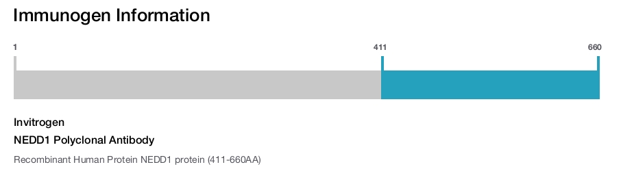NEDD1 Polyclonal Antibody