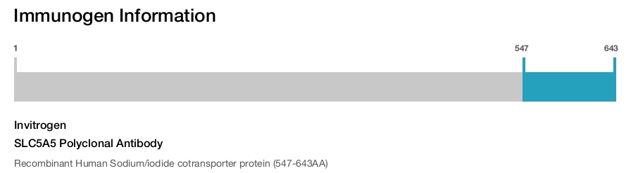 SLC5A5 Polyclonal Antibody