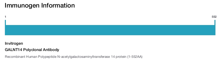 GALNT14 Polyclonal Antibody
