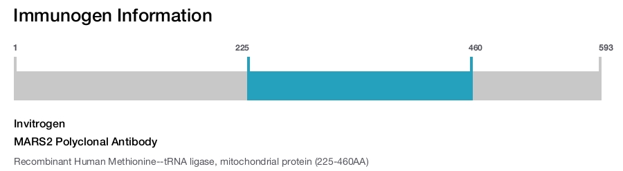 MARS2 Polyclonal Antibody