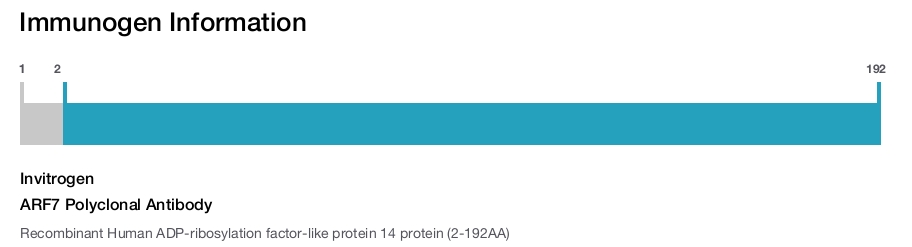 ARF7 Polyclonal Antibody