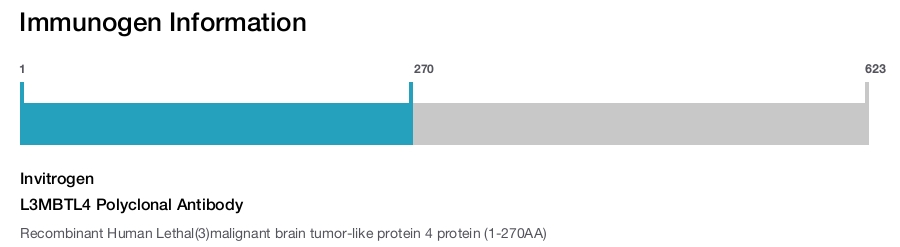 L3MBTL4 Polyclonal Antibody