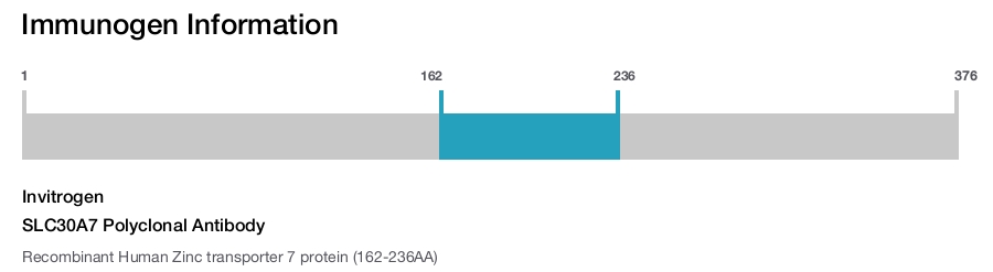 SLC30A7 Polyclonal Antibody