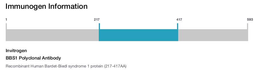 BBS1 Polyclonal Antibody