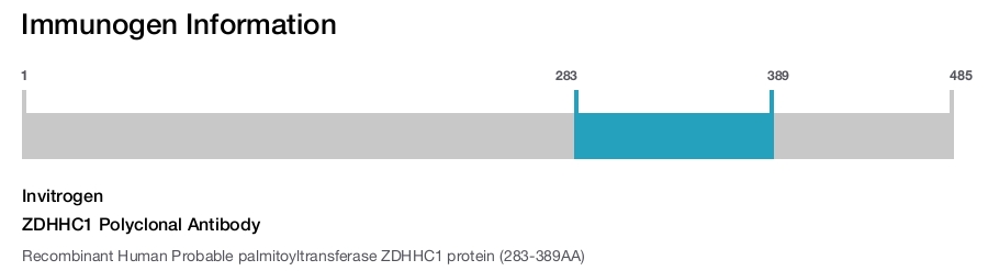 ZDHHC1 Polyclonal Antibody
