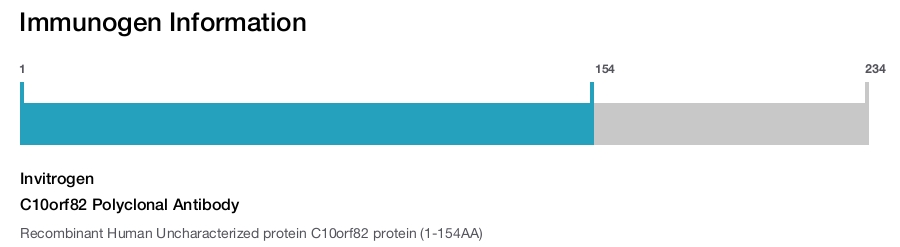 C10orf82 Polyclonal Antibody