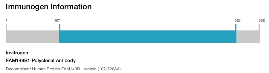 FAM149B1 Polyclonal Antibody
