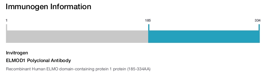 ELMOD1 Polyclonal Antibody