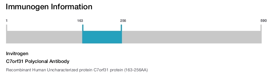 C7orf31 Polyclonal Antibody