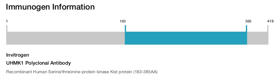 UHMK1 Polyclonal Antibody