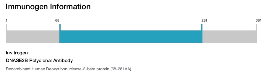 DNASE2B Polyclonal Antibody