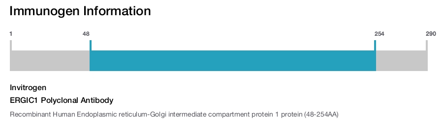 ERGIC1 Polyclonal Antibody